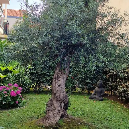 Superbe Avec Jardin Saint Charles *