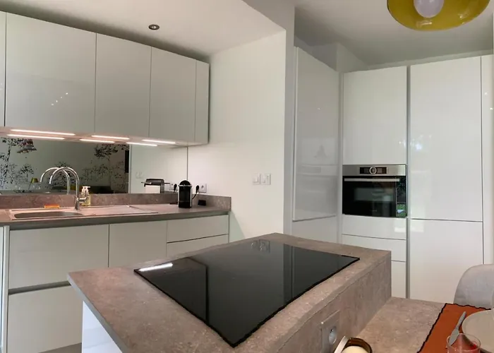 公寓 Superbe Avec Jardin Saint Charles *