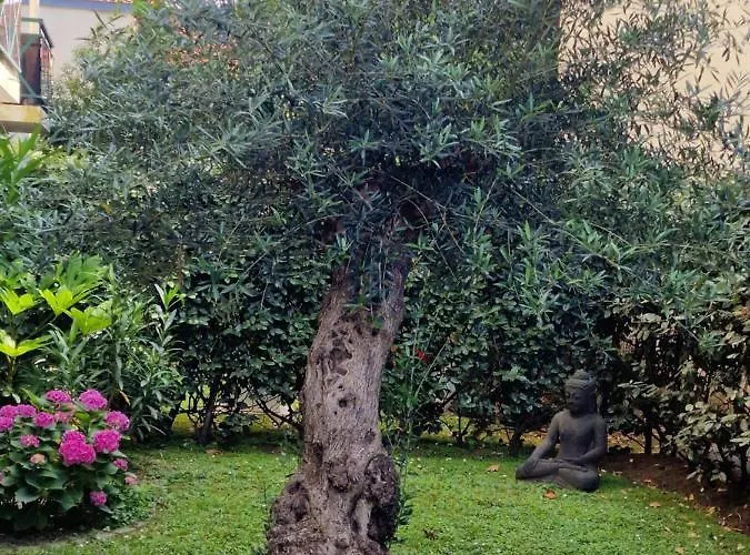 Superbe Avec Jardin Saint Charles *