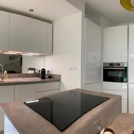 Appartement Superbe Avec Jardin Saint Charles *